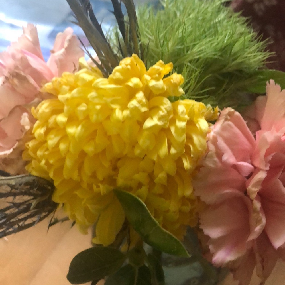 Meet your Posher, Kristen